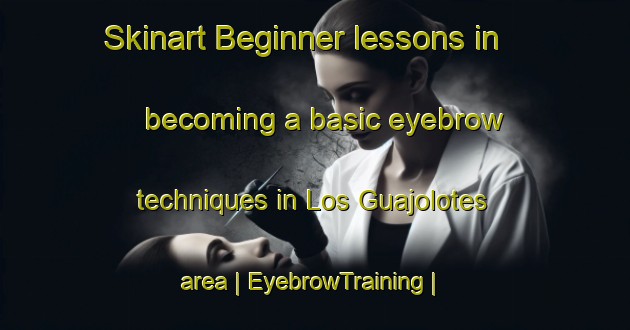 Skinart Beginner lessons in becoming a basic eyebrow techniques in Los Guajolotes area | EyebrowTraining | EyebrowClasses | SkinartTraining-Mexico